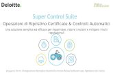 Super control Suite Deloitte Italia