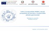 Celle a Combustibile PEMFC: attuali prospettive di mercato e risultati delle attività sperimentali - Marialaura Lucariello