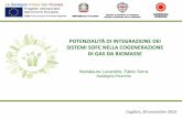 Potenzialità di integrazione dei sistemi SOFC nella cogenerazione di gas da biomasse - Marialaura Lucariello e Fabio Serra