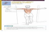 Pagine da Stretching Anatomy 2° Edizione