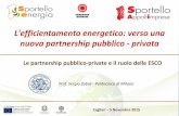 Le partnership pubblico-private e il ruolo delle ESCO - Sergio Zabot (Politecnico di Milano)