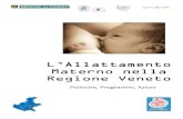 L'allattamento materno nella Regione Veneto - Politiche, Programmi ...