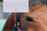 Il mondo sensoriale del cavallo
