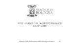 PEG - PIANO DELLA PERFORMANCE ANNO 2013