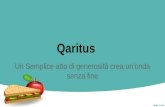 Qaritus - Un Semplice atto di generosità crea un'onda senza fine