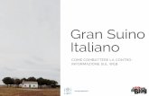 Gran Suino Italiano - Project Work per Classe IX di SQcuola di Blog