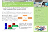 Npo Sistemi Flyer bridge web new soluzione Enterprise Content Management