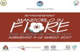 Mandorlo in Fiore 2017 Conferenza Stampa 3 febbraio Agrigento