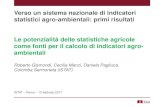 R.Gismondi, C.Manzi, D.Pagliuca, Le potenzialità delle statistiche agricole come fonti per il calcolo di indicatori agro-ambientali
