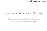 Find information about pescara
