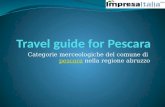 Travel guide for pescara