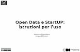 OpenData e Startup: istruzioni per luso