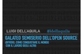 Galateo semi-serio dell'Open Source -  Luigi Dell' Aquila - Codemotion Rome 2017