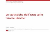 Sandro Cruciani, Le statistiche dell’Istat sulle risorse idriche
