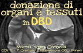 Donazione organi e tessuti in dbd
