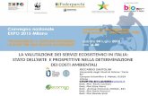 Valutazione dei servizi ecosistemici in Italia - Riccardo Santolini