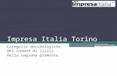 Impresa italia torino