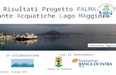 PALMA Project - Aquatic Plants in Lake Maggiore