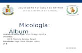 Album (fotos) de Micologia Medica