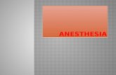 Anesthesia CPT Coding 2017