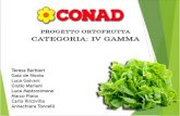 Business Game - CONAD