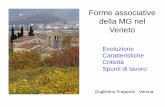 Esperienze organizzative della MG Veneto (Guglielmo Frapporti)