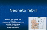 Neonato febril
