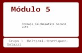 Grupo 1 modulo 5   beltrami-henrriquez-solazzi