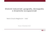 Distretti industriali: geografia, demografia e dinamiche occupazionali-M. G. Magliocchi