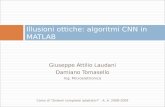 CNNs_and_Image_Processing_in_MATLAB (in Italian)