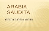 Arabia Saudita - Agenzia viaggi Aly&Giuk