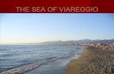 Viareggio seaside Etwinning "My town"