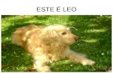 Este Es Leo