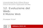 12 - Mobile web