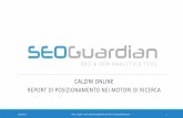 SEOGuardian - Report posizionamento nei motori di ricerca - Calzini Online