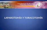 Laparotomia y toracotomia