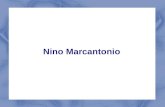 Nino Marcantonio