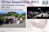Wine immersion 2015