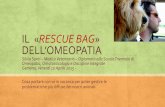Pronto soccorso veterinario omeopatico: il  «rescue bag» dell’omeopatia