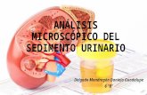 Analisis microscopico del sedimento urinario