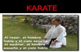 Karate   copia - copia