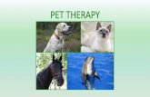 Pawer point pet therapy