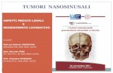 Ii° the last-tumori dei seni paranasali- aspetti medico legali e reinserimento lavorativo- convegno 26.11.2011. capannori -lu-16.11.2011-