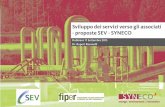 150917 fiper sev-syneco