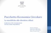 Federazione Filiera Carta e Stampa_Massimo_Medugno_Economia_Circolare