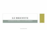 Le Briofite
