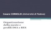 Cesare CORNOLDI (Università di Padova) · PDF fileFonti: Cornoldi, C. (2006). The contribution of cognitive psychology to the study of human intelligence. European Journal of Cognitive