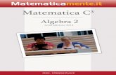 MATEMATICA C · PDF filemento del manuale Matematica C3 - Algebra 1 o se vuoi inviare i tuoi commenti e/o suggerimenti scrivi ... 1.4.1 Esercizi dei singoli paragraﬁ