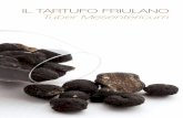 Il tartufo frIulano Tuber Mesentericum - · PDF fileIl tartufo mesenterico è stato descritto per la prima volta dal Vittadini nel . 8 La diffusione del Tuber Mesentericum in Friuli-Venezia