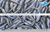 Pesci e Stagioni in Emilia-Romagna - · PDF filefaccia conoscere ancor di più la qualità e il valore alimentare del pesce adriatico e promuovere un impegno comune ... tori del mare